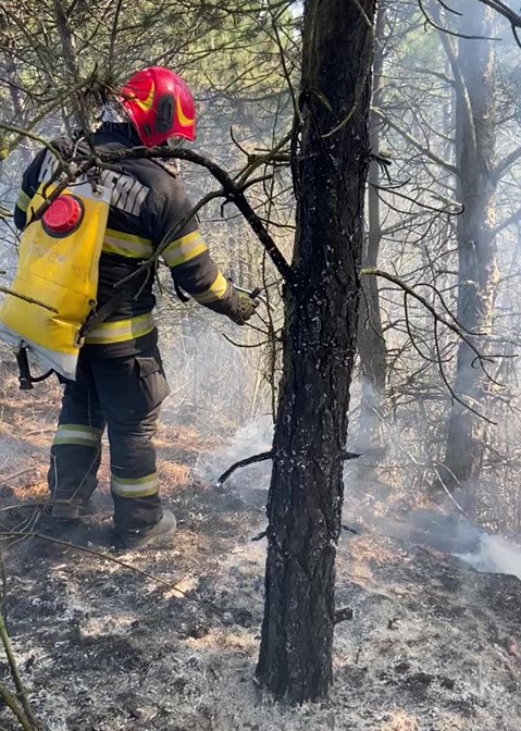Pompierii clujeni continuă lupta cu incendiile de vegetație