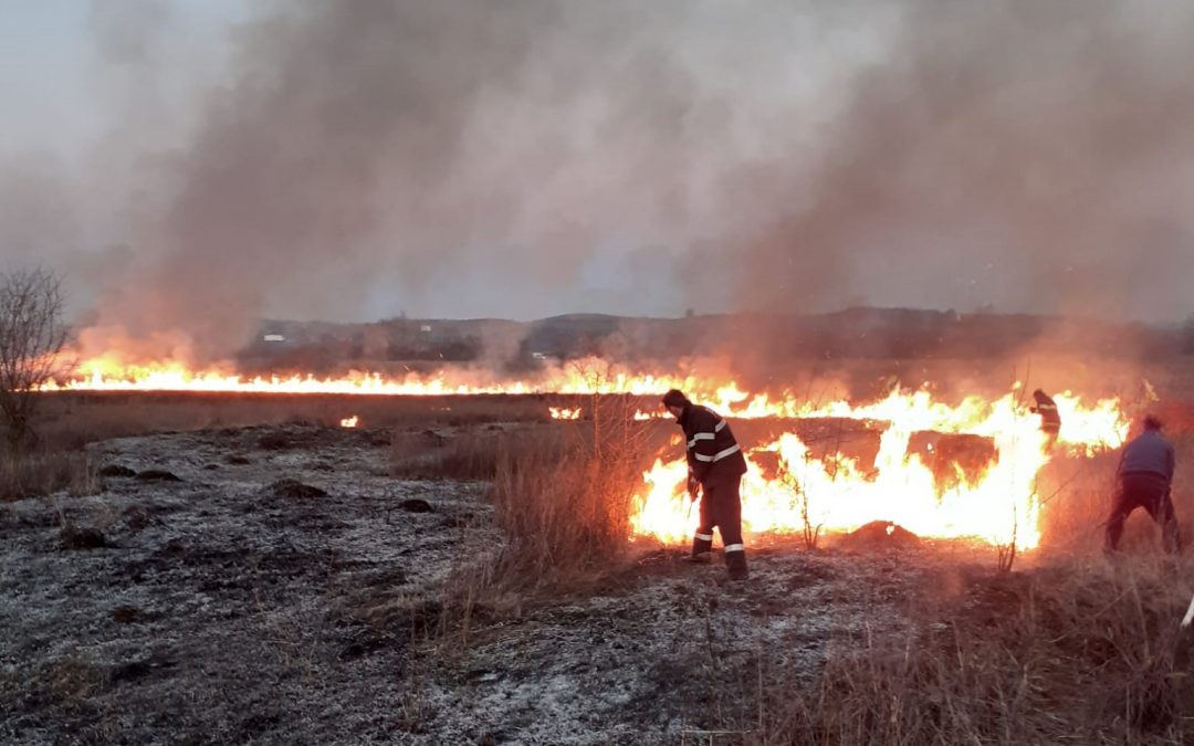 ISU Cluj atrage încă o dată atenția asupra pericolului reprezentat de incendiile de vegetație uscată